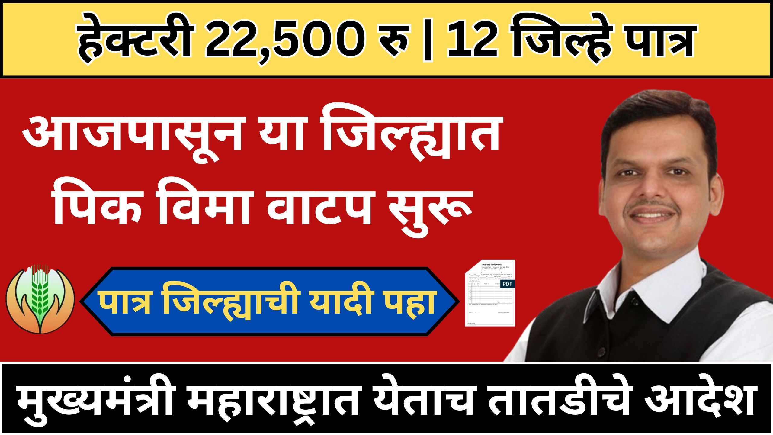 pik vima news today live