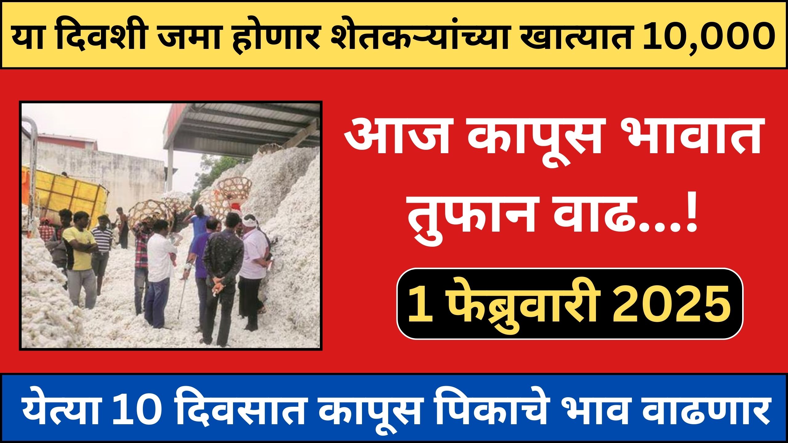 kapus bhav today maharashtra